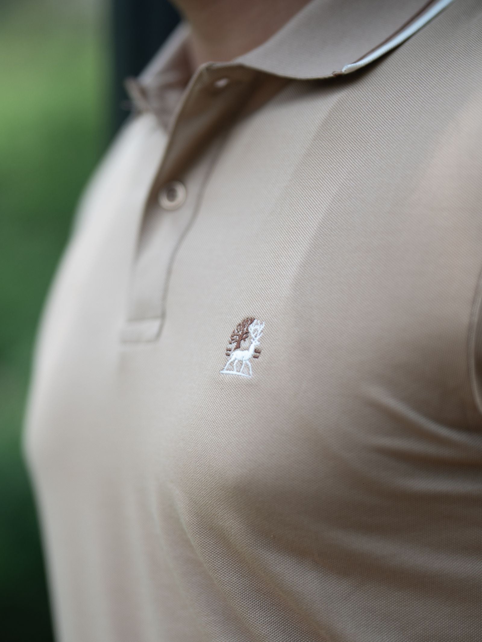 The Wildwood Polo