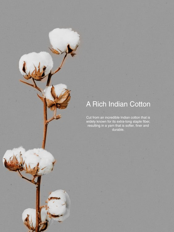 BB Classic Essential Crew